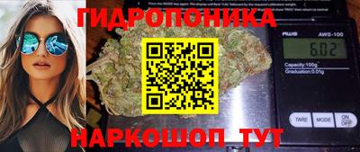 PSILOCYBIN Ачхой-Мартан