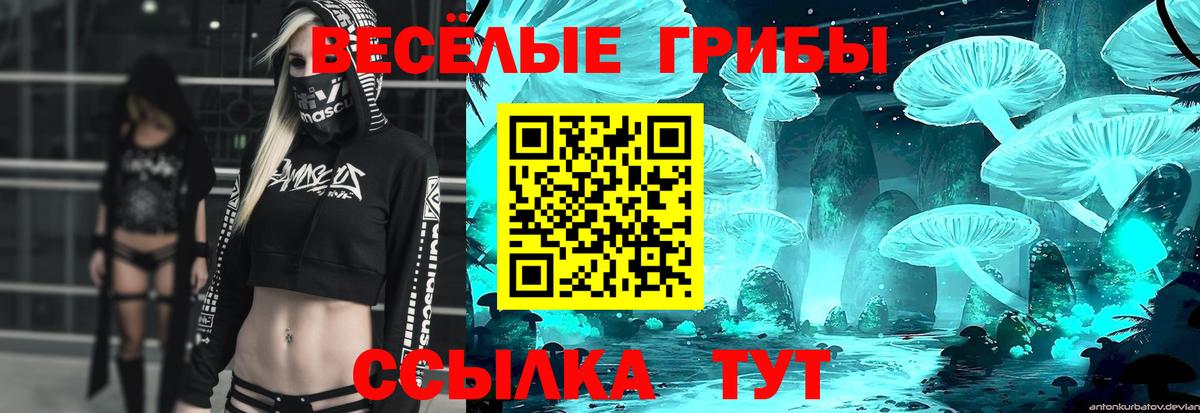 Псилоцибиновые грибы Psilocybe Белогорск